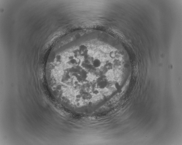 X0000077290687200611171628