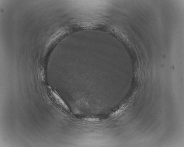 X0000077290689200611171628