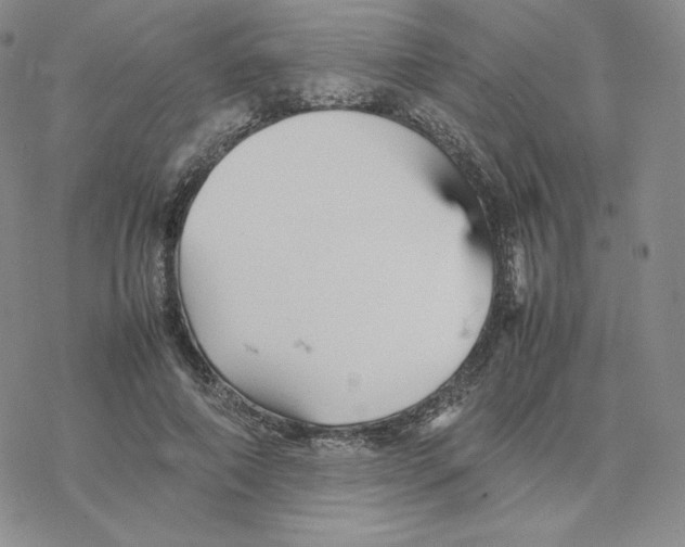 X0000077290690200611171628