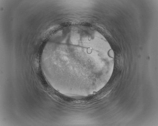 X0000077290691200611171627