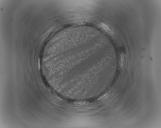 X0000077290693200611171627