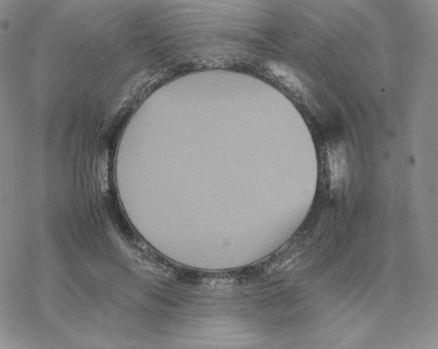 X0000077290694200611171627