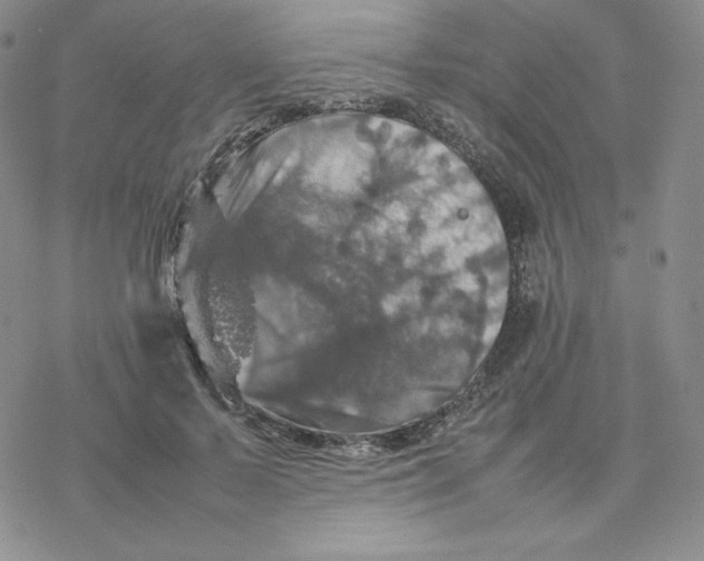 X0000077290695200611171627