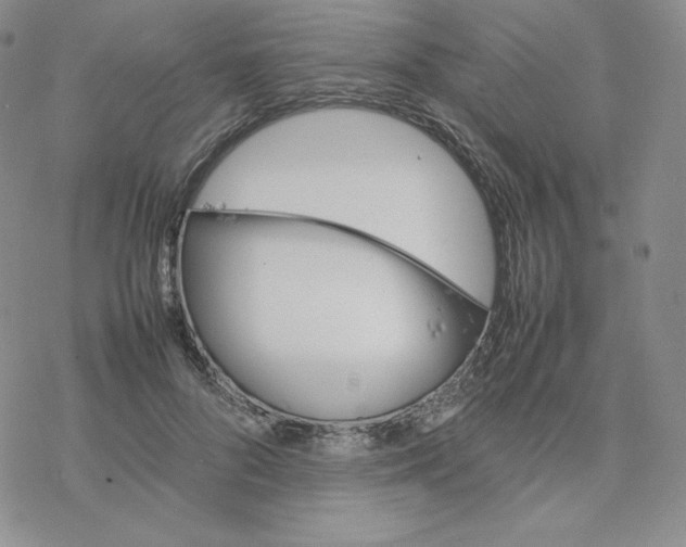 X0000077290696200611171627