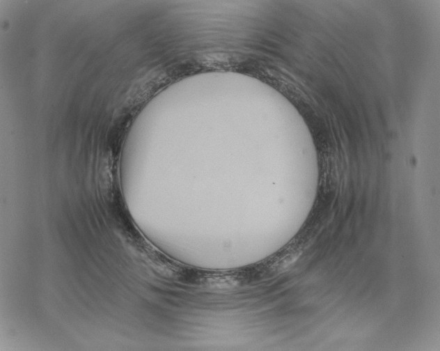 X0000077290702200611171627