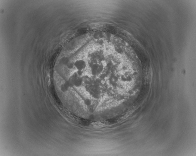 X0000077290703200611171627