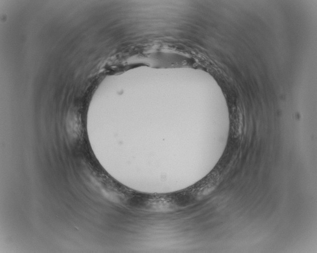 X0000077290704200611171627