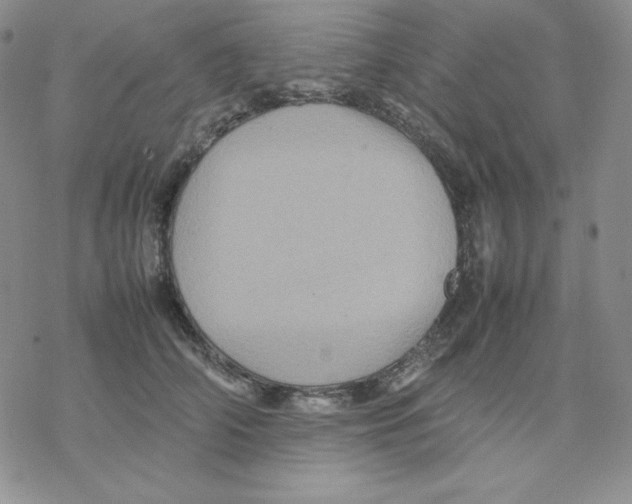 X0000077290706200611171627