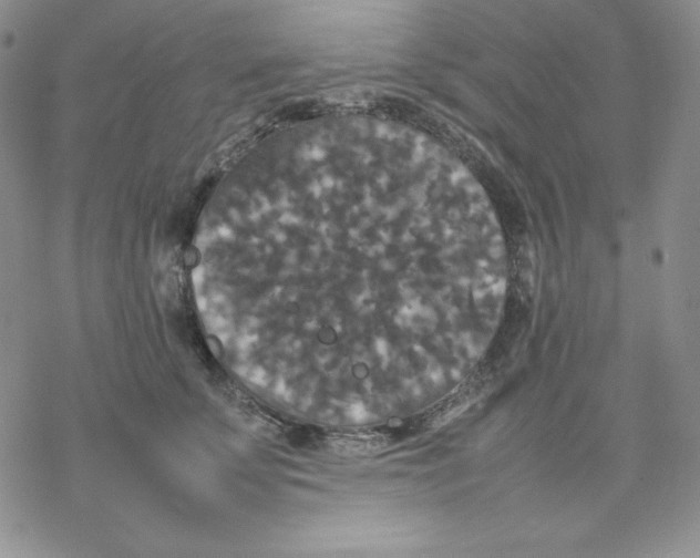 X0000077290707200611171627