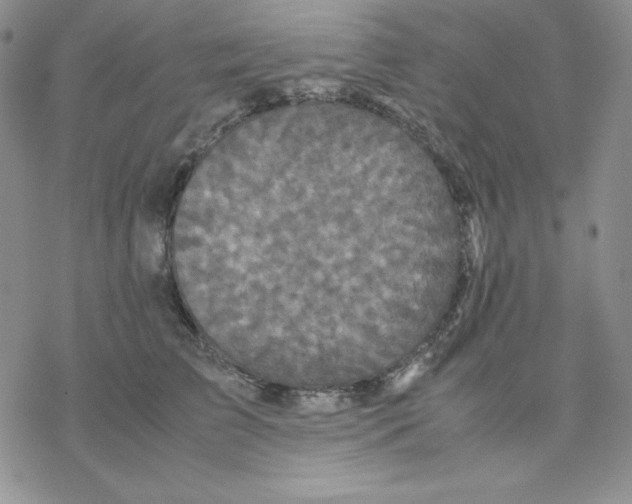 X0000077290709200611171627