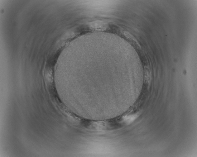 X0000077290713200611171627