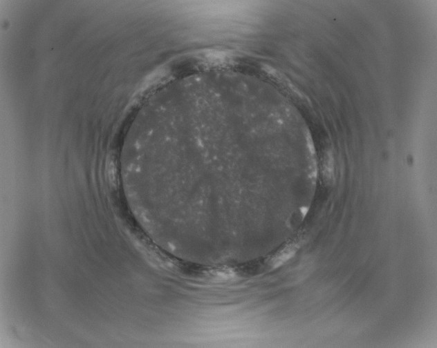 X0000077290715200611171627