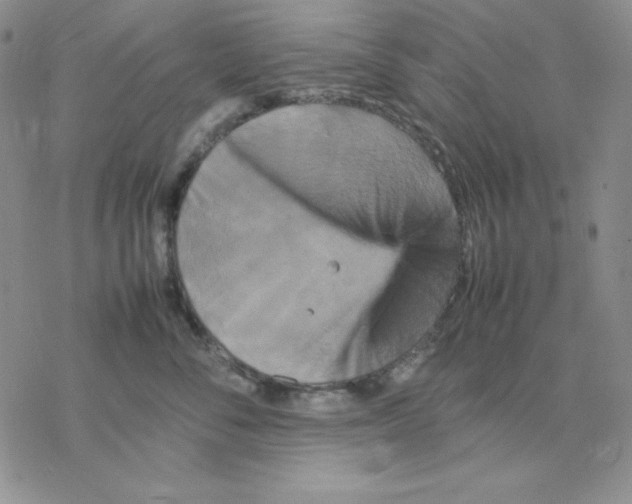 X0000077290716200611171627