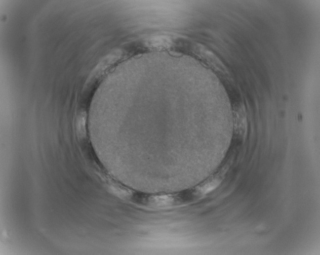 X0000077290717200611171627