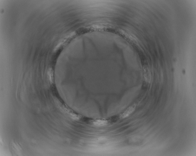 X0000077290718200611171627