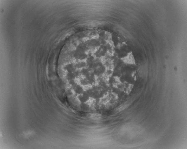 X0000077290719200611171627