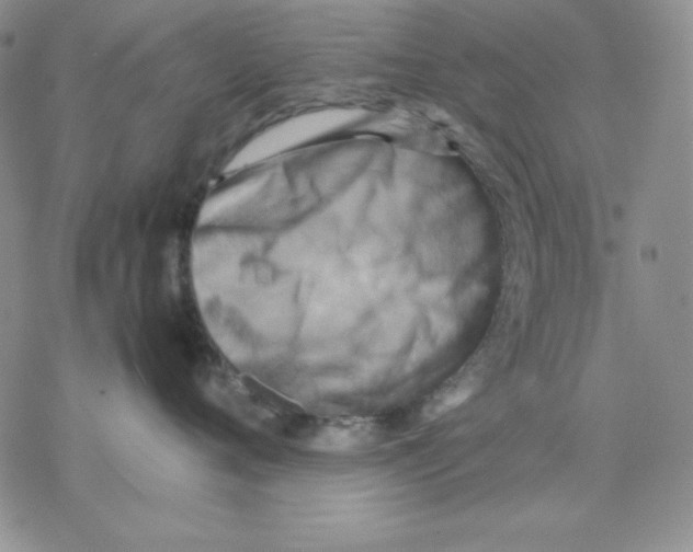 X0000077290720200611171627