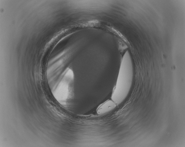 X0000077290722200611171626