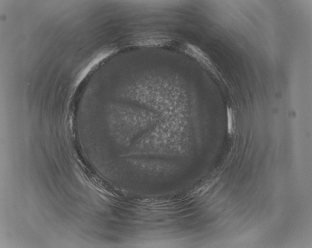 X0000077290723200611171626