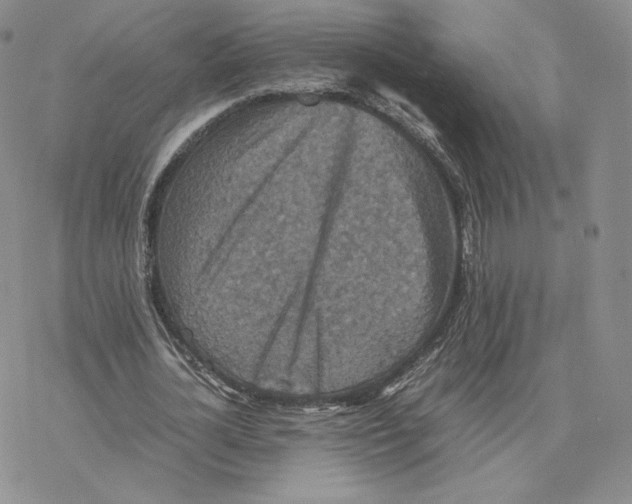 X0000077290724200611171626