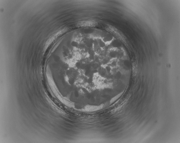 X0000077290725200611171626