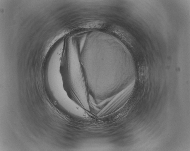 X0000077290727200611171626