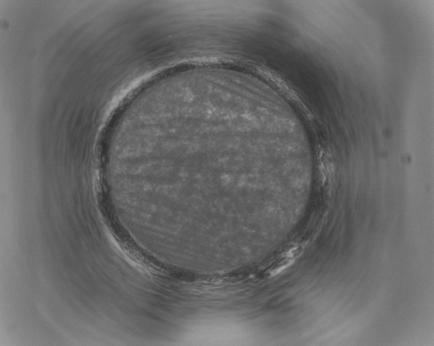 X0000077290728200611171626