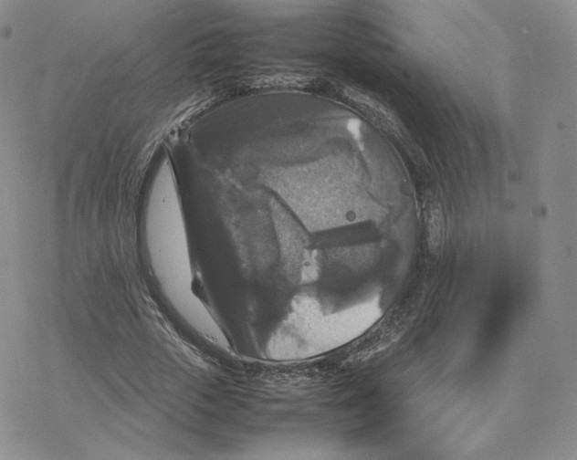 X0000077290729200611171626