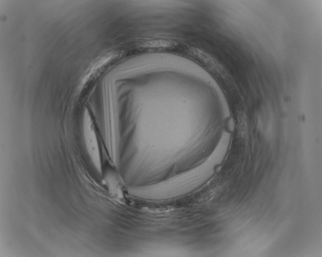 X0000077290731200611171626