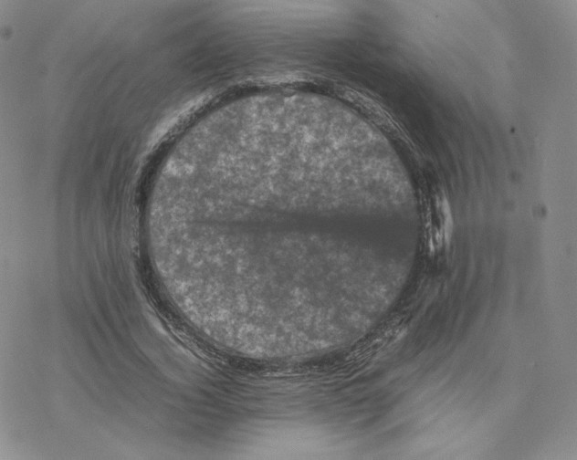 X0000077290732200611171626