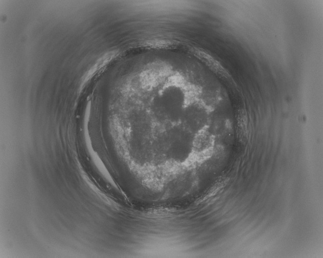 X0000077290734200611171626