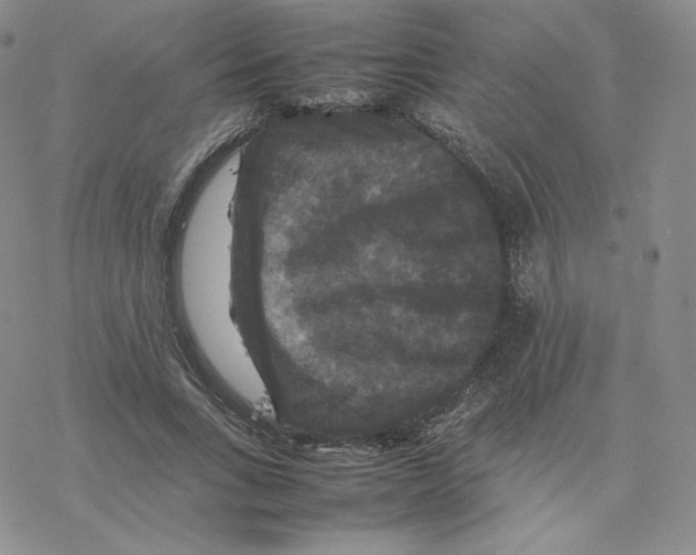 X0000077290735200611171626