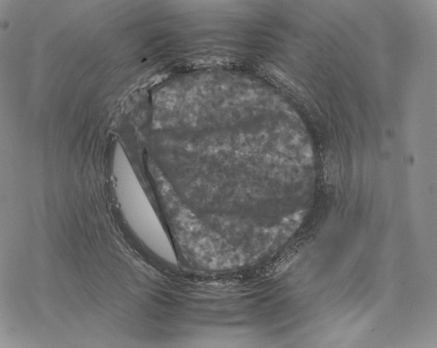 X0000077290737200611171627