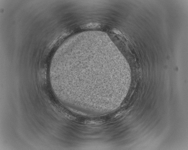 X0000077290739200611171627