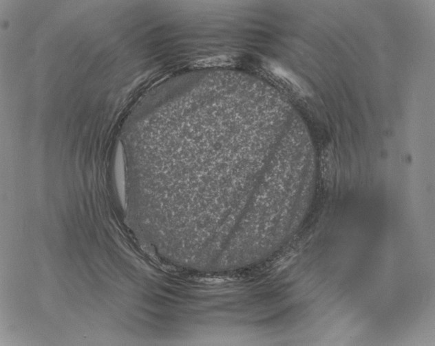 X0000077290741200611171627