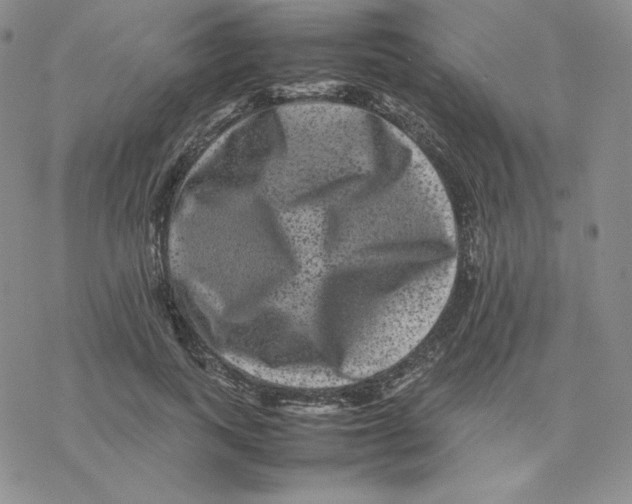 X0000077290743200611171627