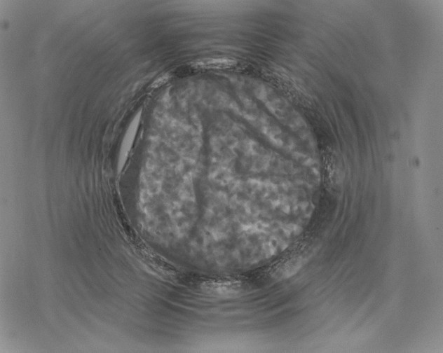 X0000077290745200611171627