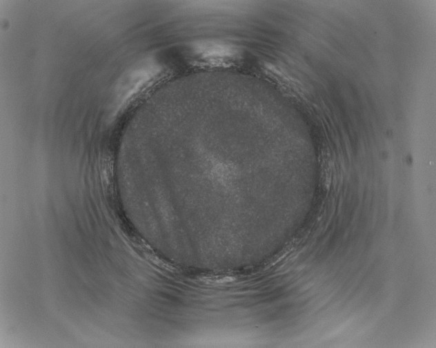 X0000077290747200611171627