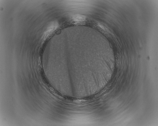 X0000077290748200611171627