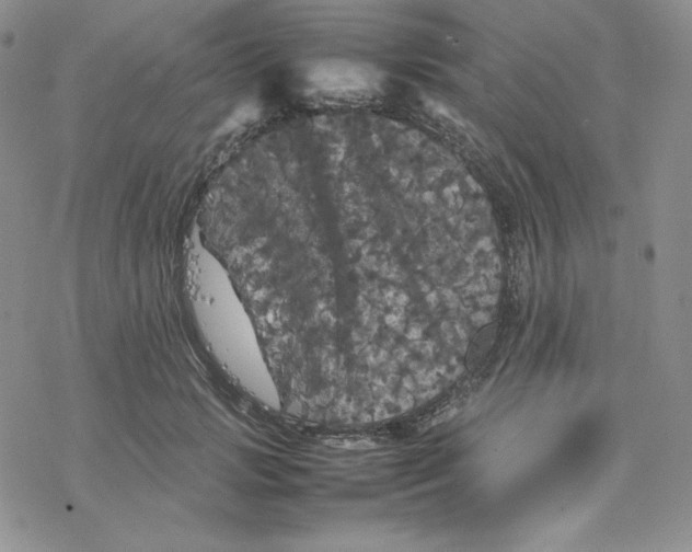 X0000077290749200611171627