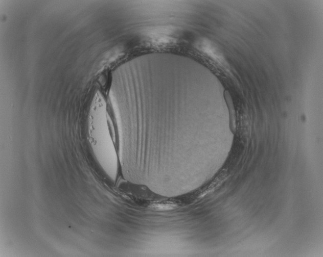 X0000077290750200611171627