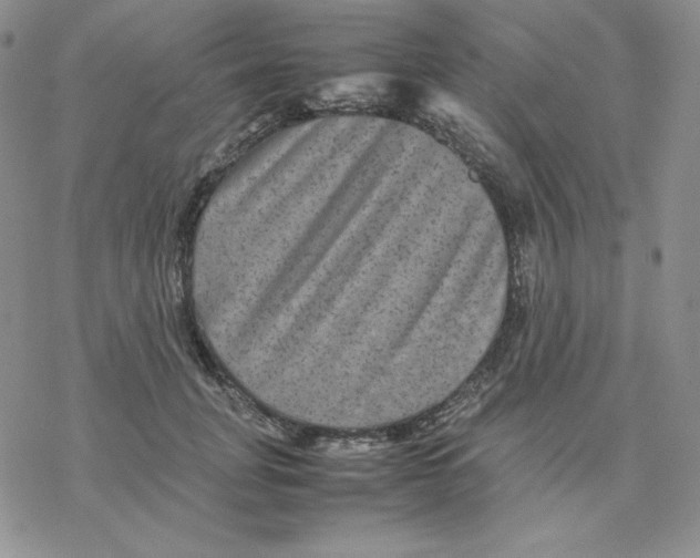 X0000077290751200611171627