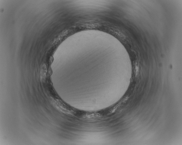 X0000077290752200611171627