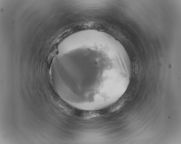 X0000077290754200611171627