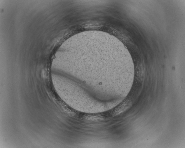 X0000077290755200611171627