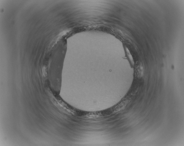 X0000077290756200611171627