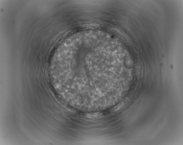 X0000077290757200611171627