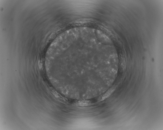 X0000077290758200611171627