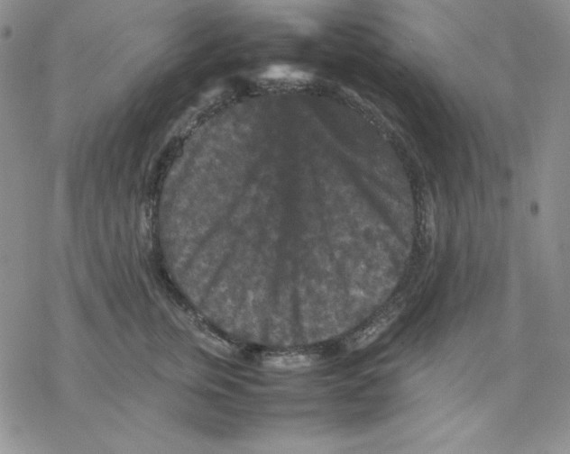 X0000077290759200611171627