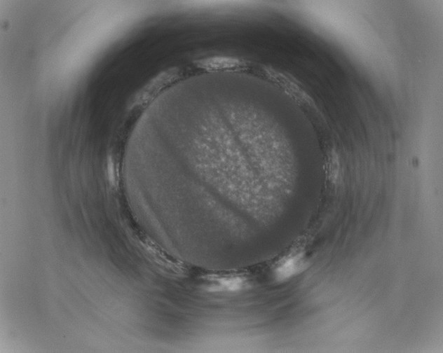 X0000077290763200611171627